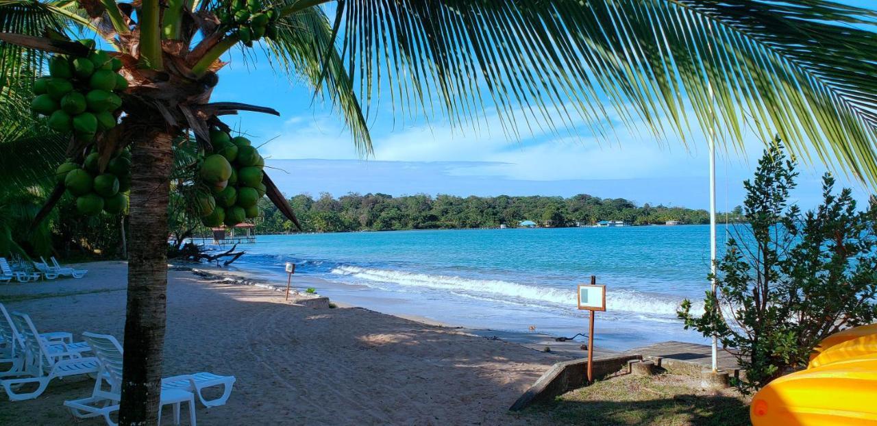 Playa Tortuga Hotel And Beach Resort Bocas Town Luaran gambar