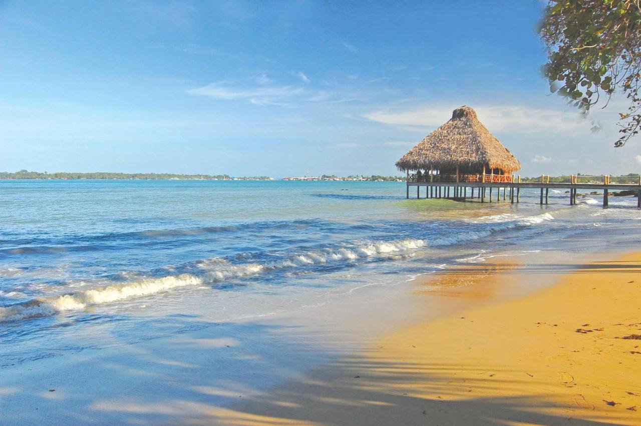 Playa Tortuga Hotel And Beach Resort Bocas Town Kemudahan gambar