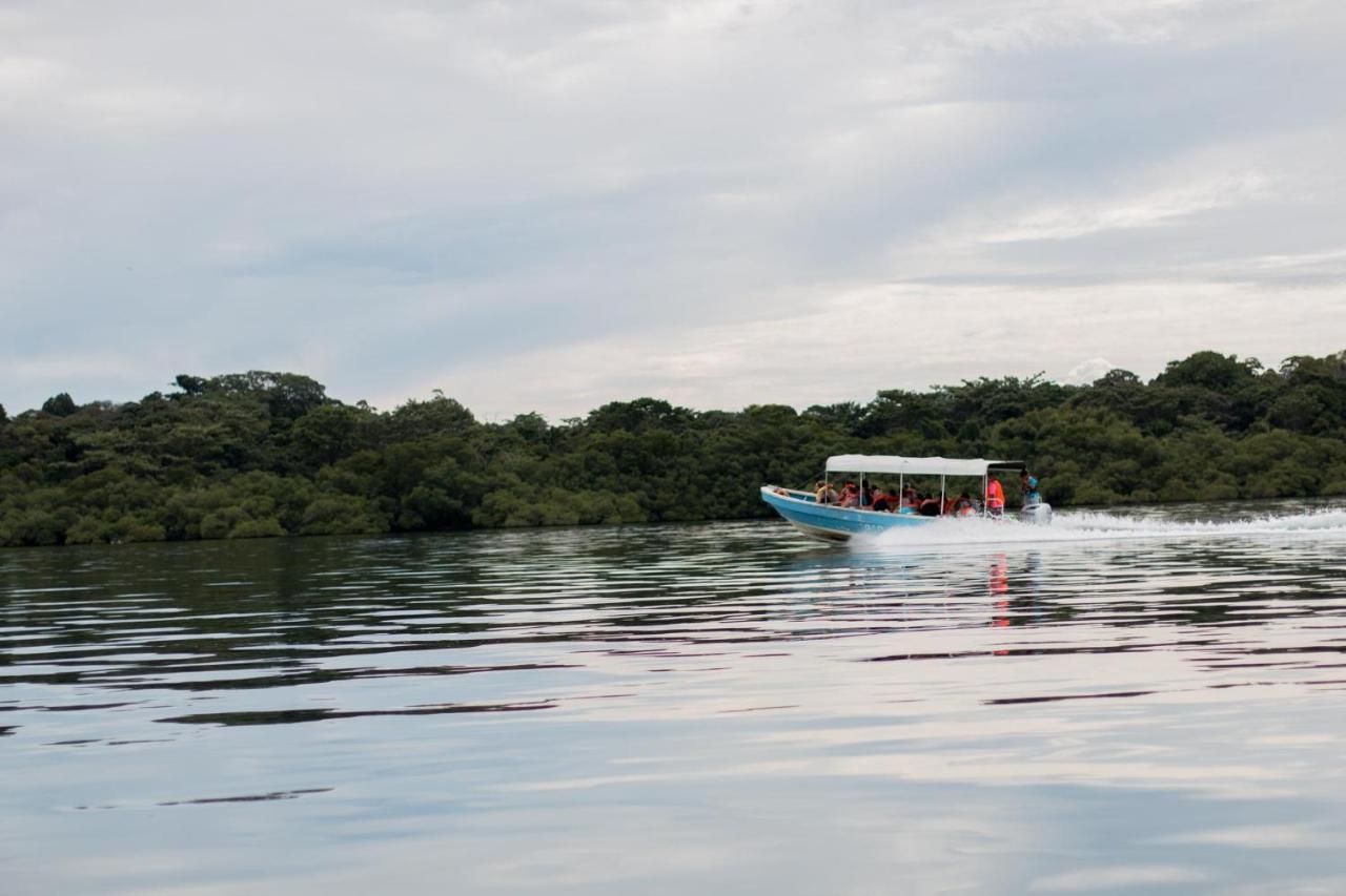 Playa Tortuga Hotel And Beach Resort Bocas Town Luaran gambar